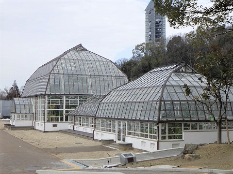 重要文化財名古屋市東山植物園温室前館保存修理