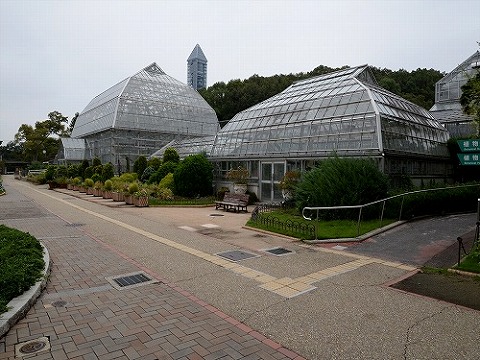 重要文化財名古屋市東山植物園温室前館保存修理